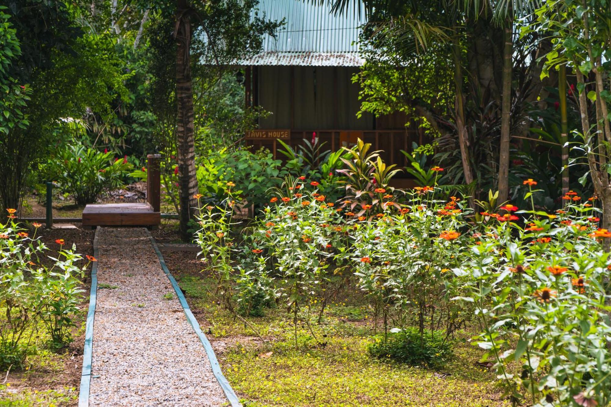 Passiflora Lodge Tambopata Puerto Maldonado Exterior photo